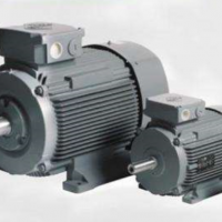 VEM節能電機:W21R(56~315)參數簡介