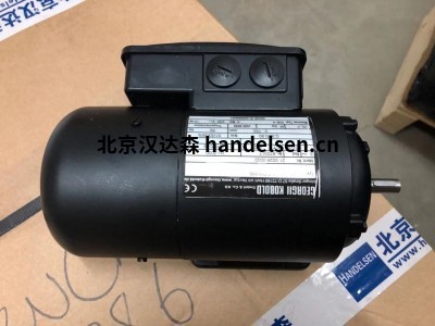 Georgii Kobold電動機系列介紹