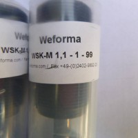 Weforma工業緩沖器旋轉阻尼器