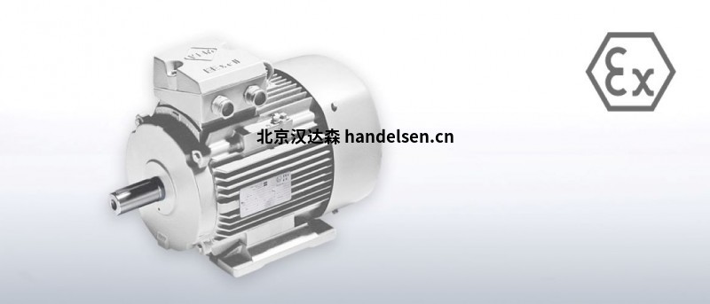 e3532310ff15cf9cc3bf274c0eb7297f_Niederspannung_z21_EEX_e_IE2_01