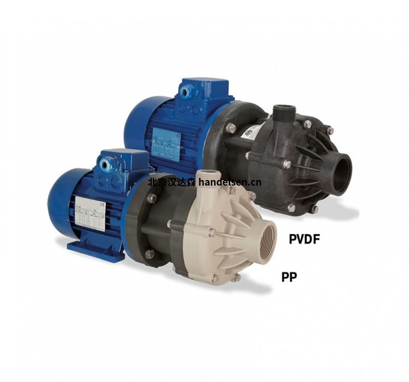 Debem DM 06磁力驅動泵