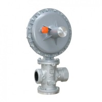 Pietro Fiorentini氣體調節器PF120