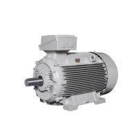 Lammers低壓電機 效率等級：IE1、IE2、IE3、IE4