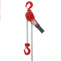 德國Carl Stahl氣動環鏈葫蘆Type mini