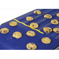 Habasit LINK塑料模塊化皮帶，長壽命，高強度耐腐蝕性等優點