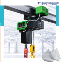 德國(guó)STAHL ST 環(huán)鏈葫蘆，起重量從125 kg 到 6,300 kg