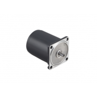 瑞典進口Transmotec 感應交流減速電機，功率高達120W