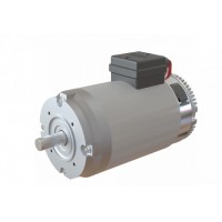 Amer MP100 系列永磁直流電機(jī)