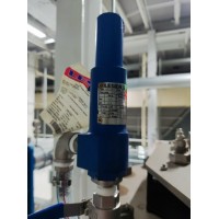 德國LESER 4592.2472安全閥用于食品、飲料和制藥行業使用