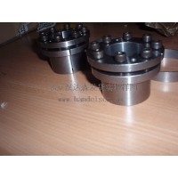 德國(guó)Ringspann制動(dòng)鉗EV 028 FEM