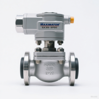 MAXIMATOR 閥門 GX35 - EPDM：高壓流體控制的可靠衛(wèi)士