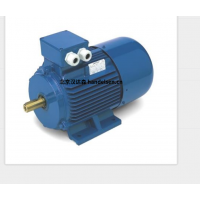 意大利 OEMER 異步電機 MTES3 系列：高效驅動，賦能工業新動能