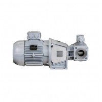 JohnsonPump緊耦合齒輪泵TopGear Bloc專為中低粘度、清潔和非研磨性液體使用