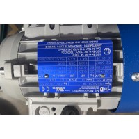 意大利M.T. Motori 電機TFP71B交流電運行 帶有雙制動面盤