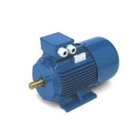 意大利 Oemer 電機(jī) HQL100X 三相交流 功率 0.55-1.115kW 高效適配工業(yè)自動(dòng)化